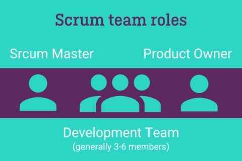 Scrum team roles graphic